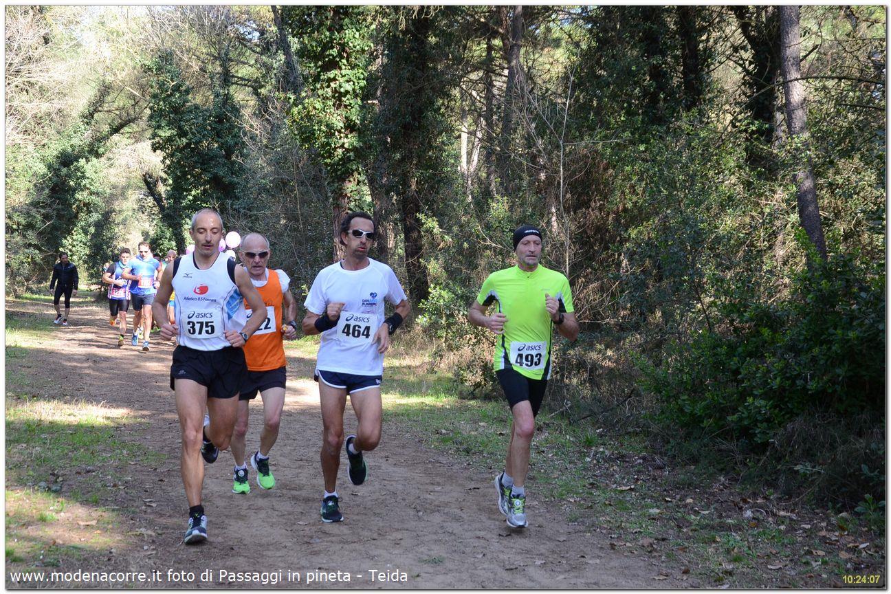 Ravenna: Valli e Pinete - 12 marzo 2017