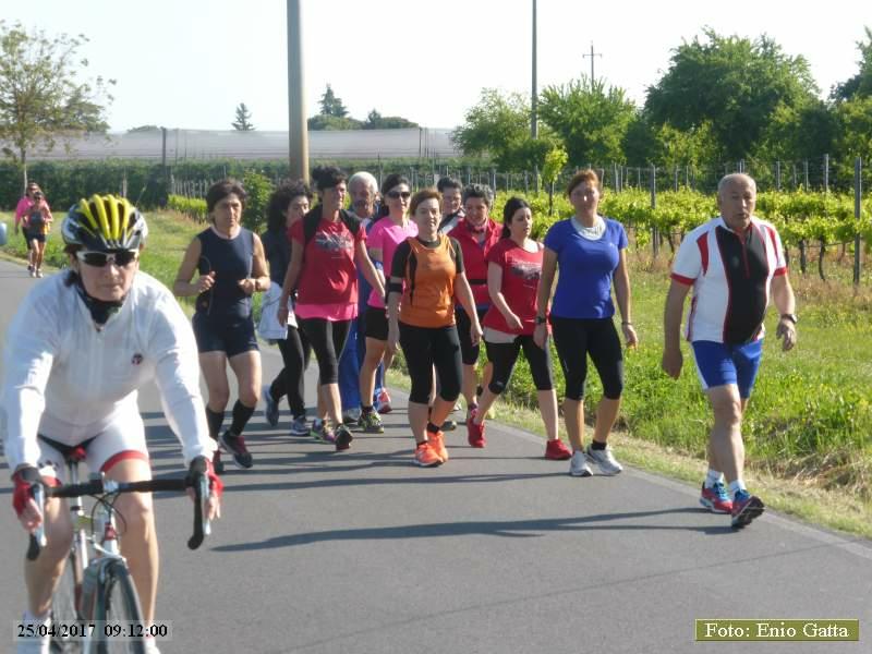 Castel Bolognese: Camminata del Senio - 25 aprile 2017