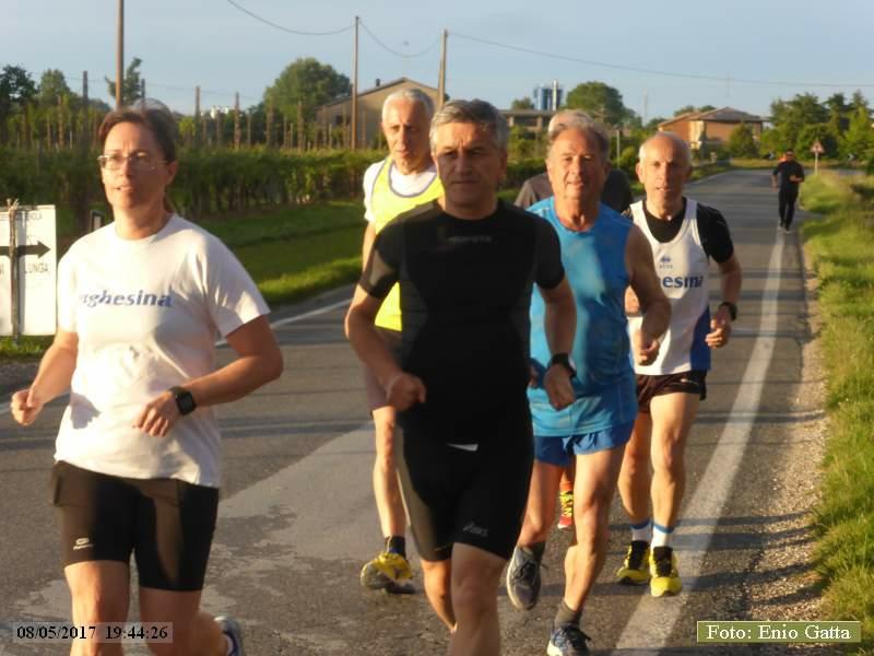 Cotignola: Camminata in mezzo al verde - 08 maggio 2017