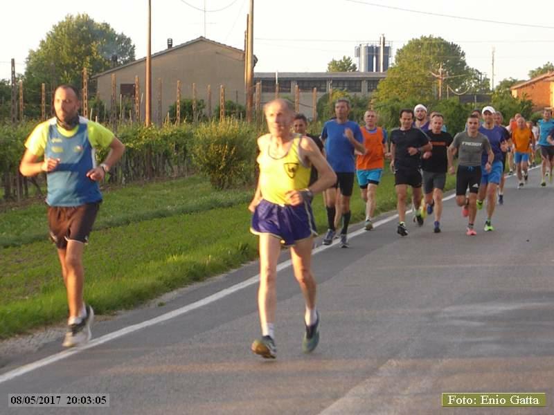Cotignola: Camminata in mezzo al verde - 08 maggio 2017