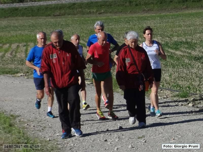 Bagnacavallo: Podistica Orva - 14 maggio 2017