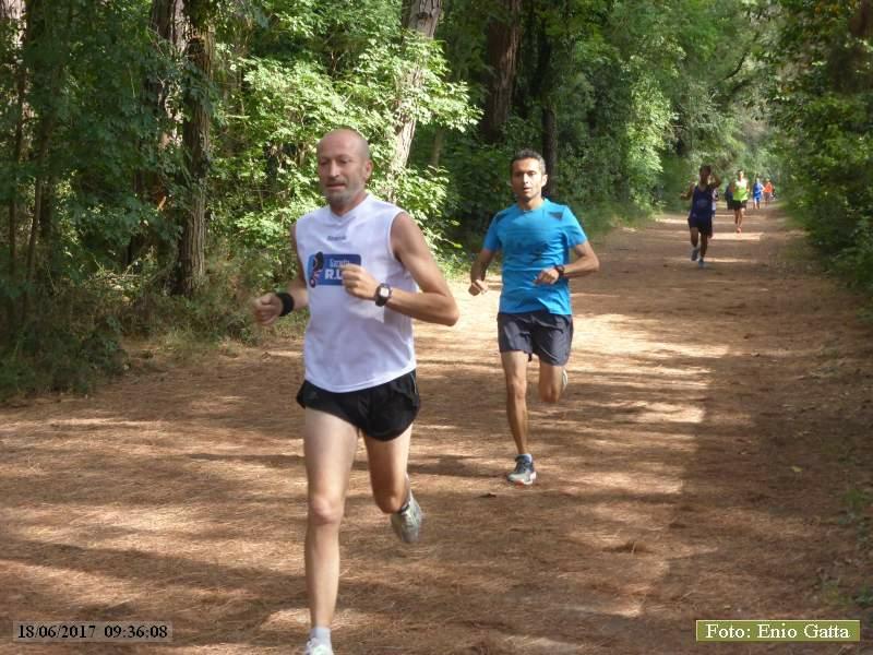 Marina di Ravenna: Camminata della Piallassa - 18 giugno 2017