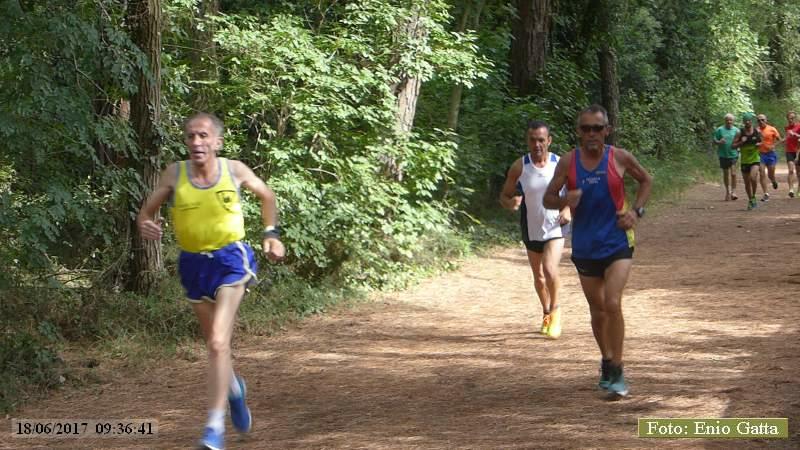 Marina di Ravenna: Camminata della Piallassa - 18 giugno 2017
