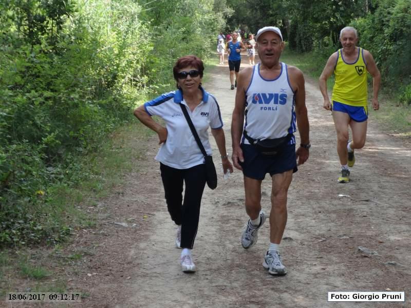 Marina di Ravenna: Camminata della Piallassa - 18 giugno 2017