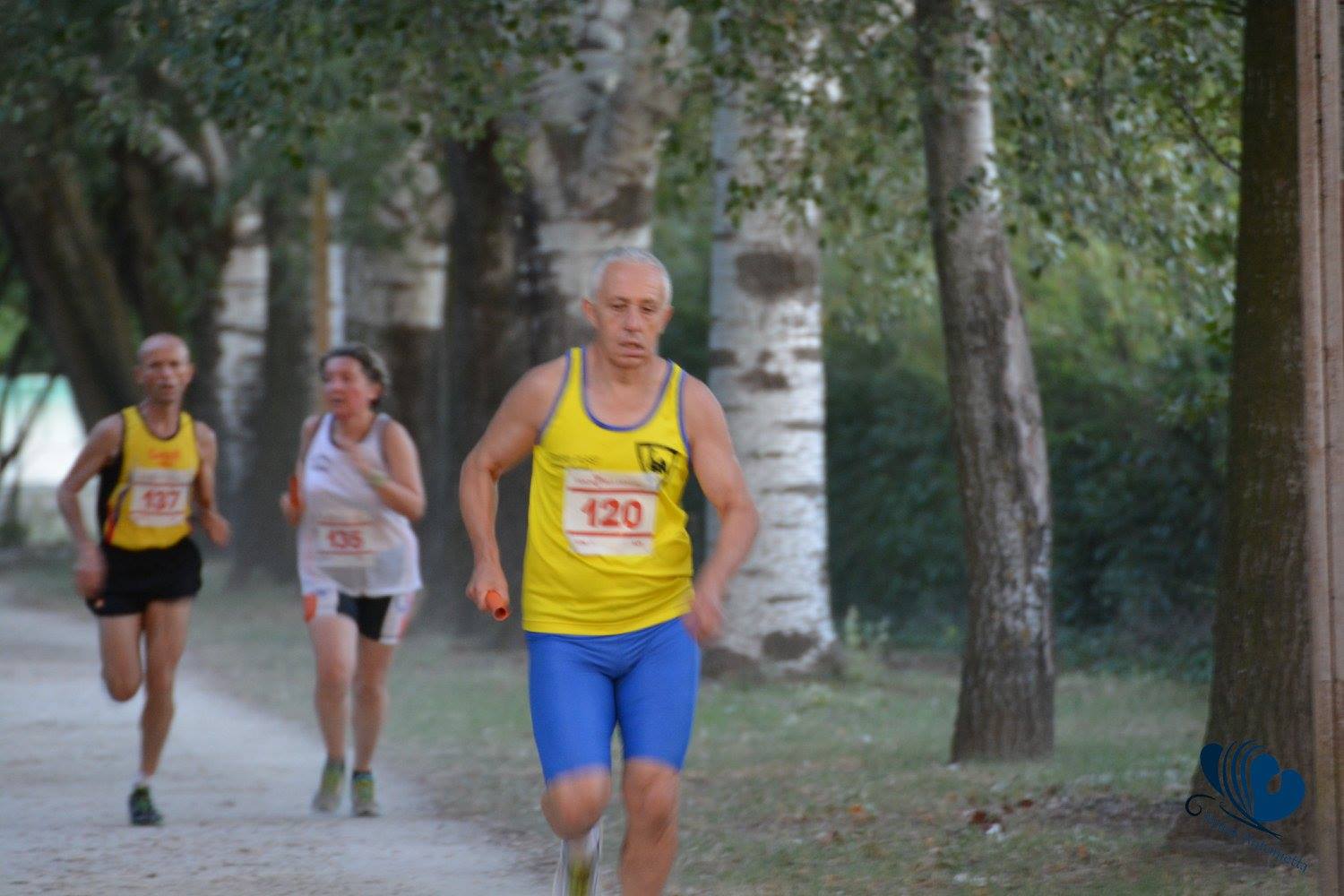 Cotignola: Staffetta 4x1,3 - 17 luglio 2017
