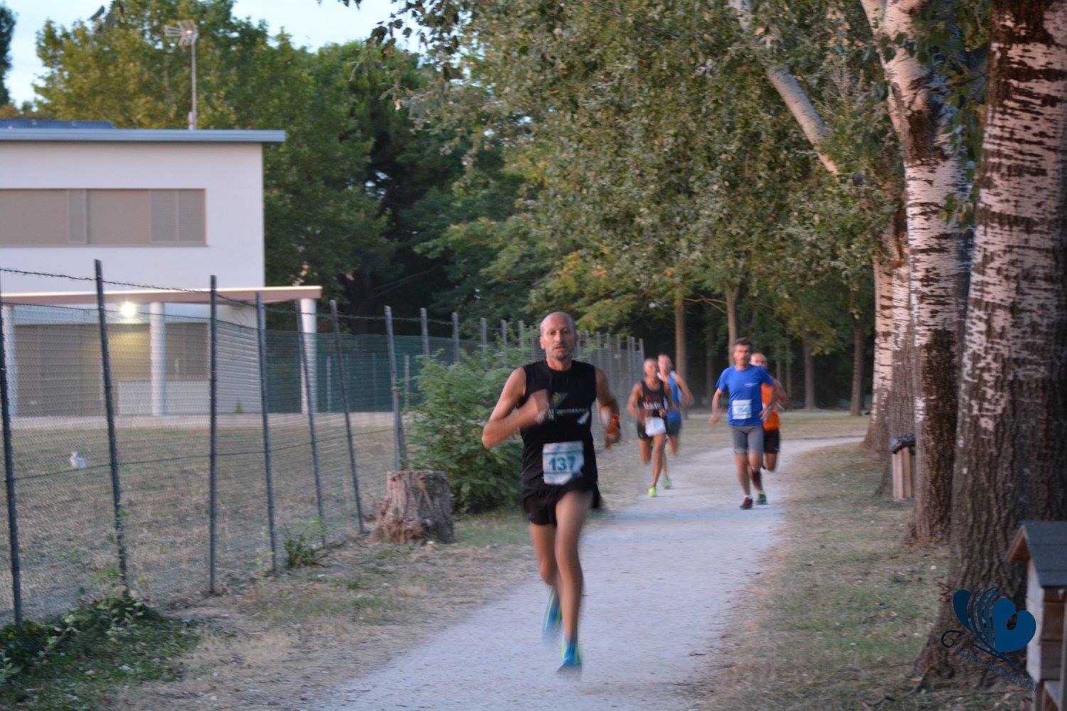 Cotignola: Staffetta 4x1,3 - 17 luglio 2017