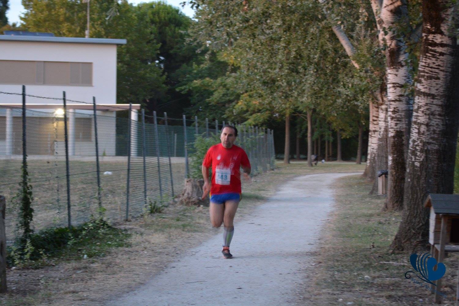 Cotignola: Staffetta 4x1,3 - 17 luglio 2017