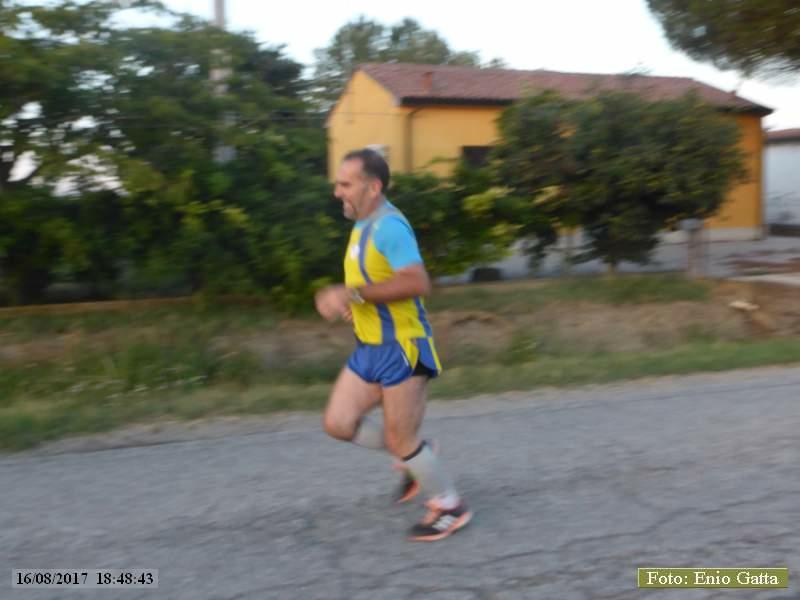 Voltana: La camminata dell'Arginino - 16 agosto 2017