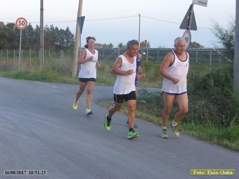 Voltana: La camminata dell'Arginino - 16 agosto 2017
