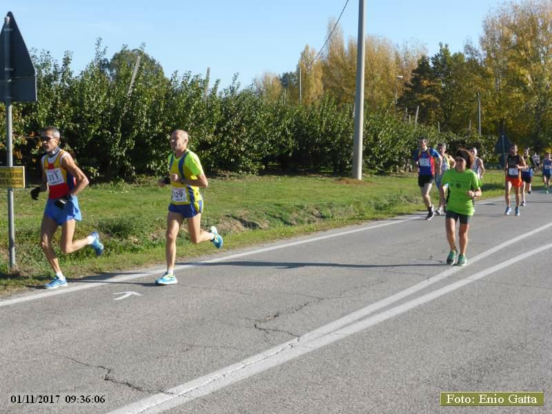 CastelBolognese: Giro della Serra - 01 novembre 2017