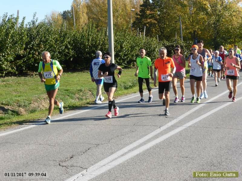 CastelBolognese: Giro della Serra - 01 novembre 2017