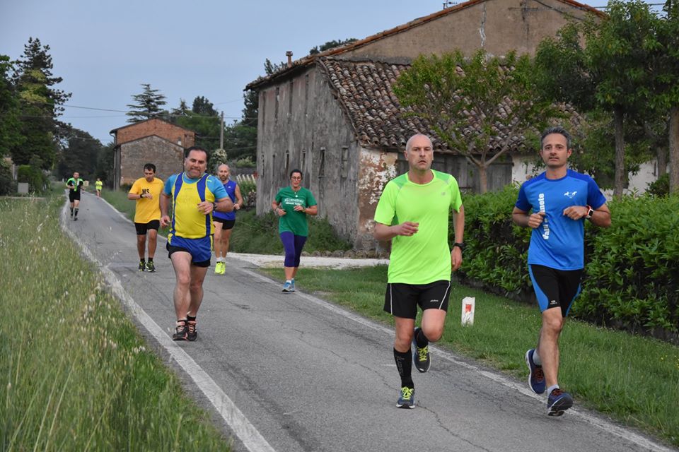 Cotignola: Camminata in mezzo al verde - 07 maggio 2018