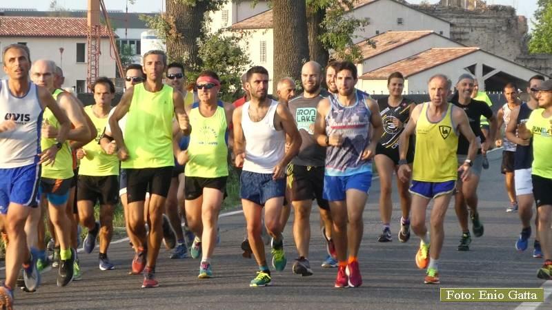 Cotignola: Festa della tagliata - 02 luglio 2018