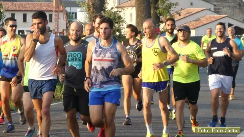 Cotignola: Festa della tagliata - 02 luglio 2018