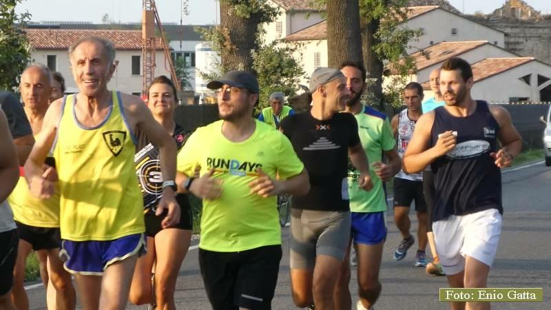 Cotignola: Festa della tagliata - 02 luglio 2018