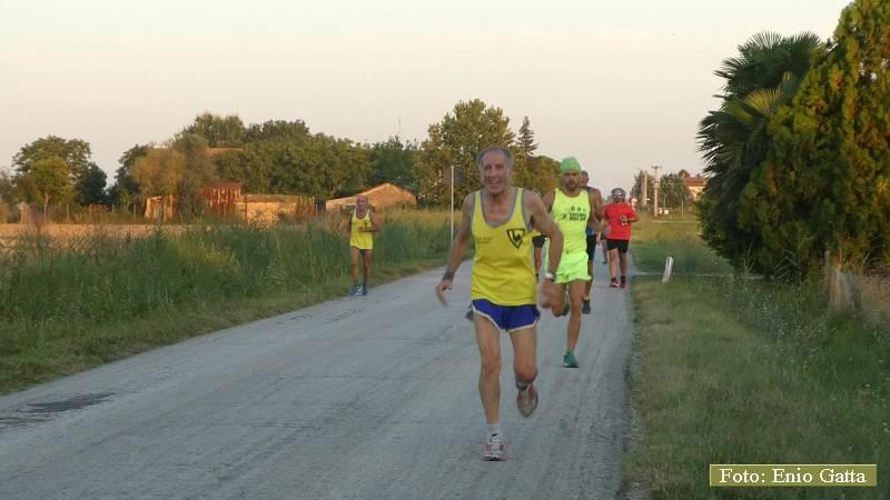 Voltana: La camminata dell'Arginino - 16 agosto 2018