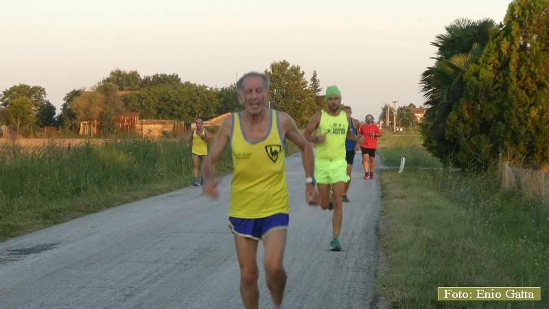 Voltana: La camminata dell'Arginino - 16 agosto 2018