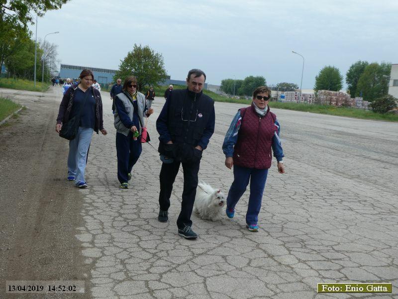 Lugo: Camminata Loris Produzioni Dolciarie - 13 aprile 2019