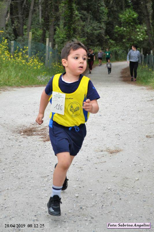 Punta Marina: Camminata al bagno Susanna - 28 aprile 2019