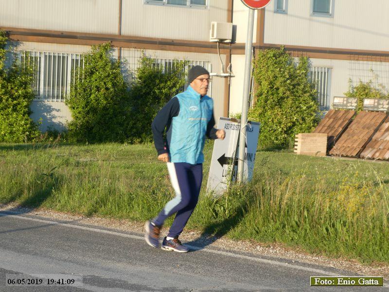 Cotignola: Camminata in mezzo al verde - 06 maggio 2019