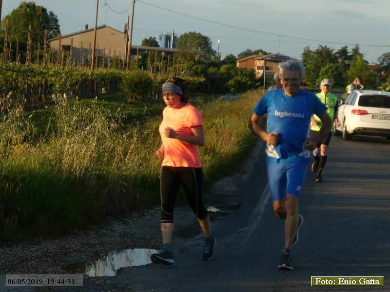Cotignola: Camminata in mezzo al verde - 06 maggio 2019