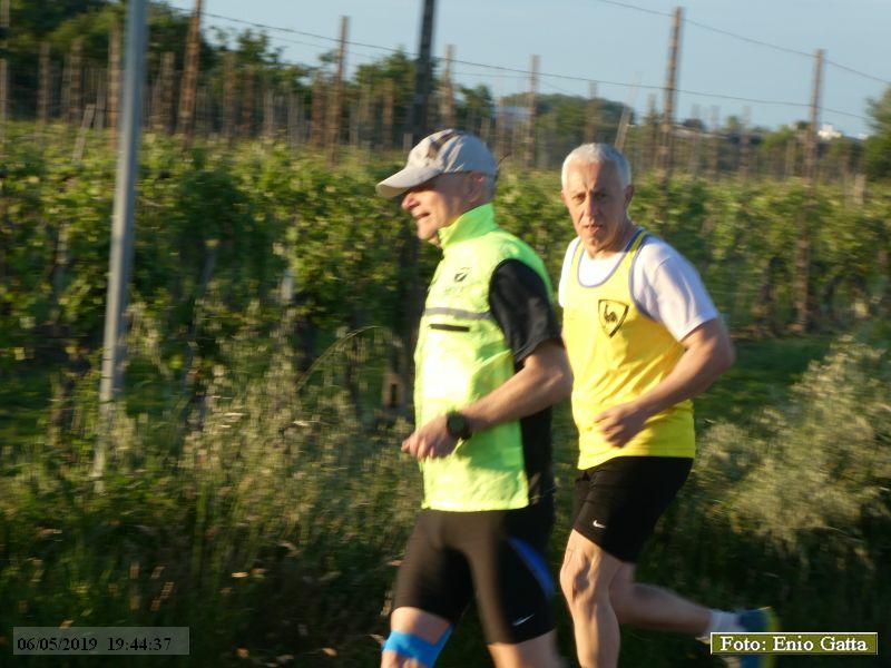 Cotignola: Camminata in mezzo al verde - 06 maggio 2019