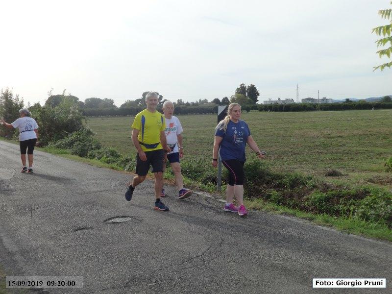 Maratonina citt di Faenza - 15 settembre 2019