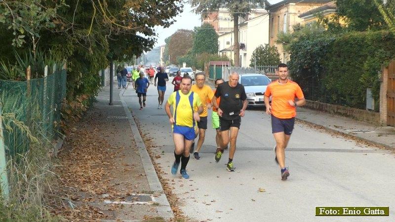 Alfonsine: Camminata dell'uva - 12 ottobre 2019