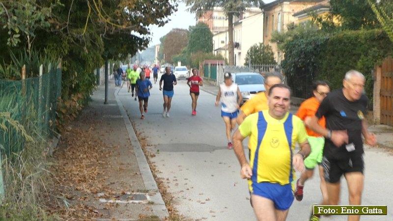 Alfonsine: Camminata dell'uva - 12 ottobre 2019