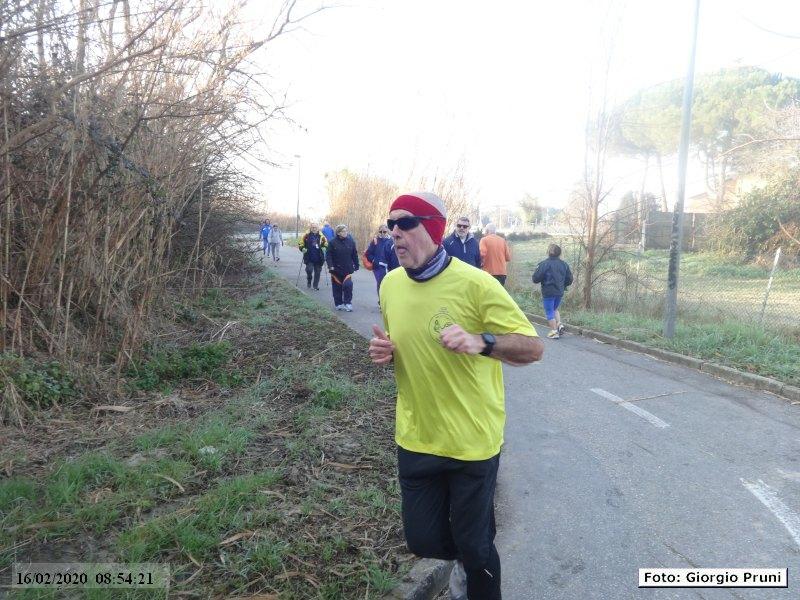 Ravenna: Passeggiata verso il mare d'inverno - 16 Febbraio 2020