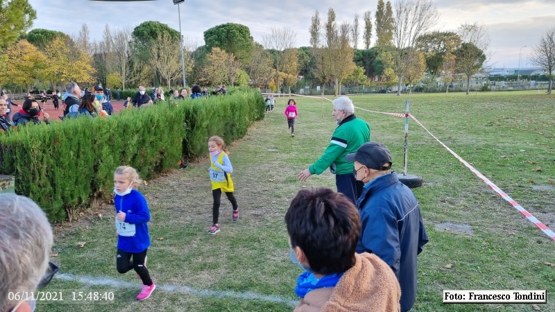 Marina di Ravenna: Promesse di Romagna - 06 novembre 2021