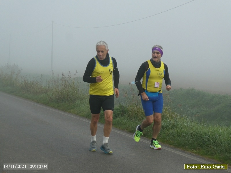 Forlimpopoli: Cavalcata dei colli Bertinoresi - 14 novembre 2021
