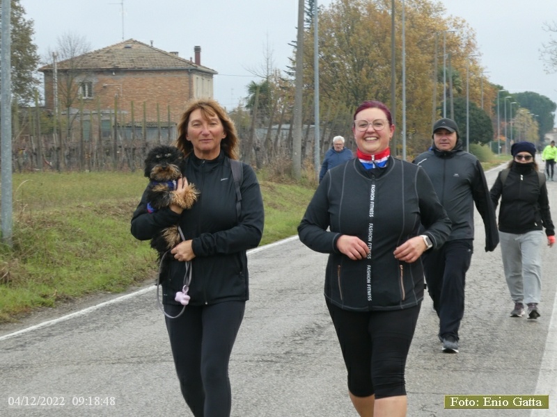 Voltana: Maratonina di Voltana - 4 dicembre 2022