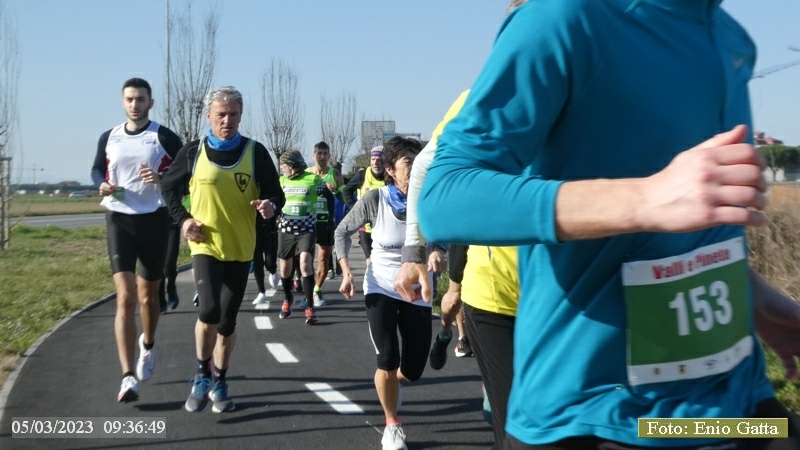 Ravenna: Valli e Pinete - 5 marzo 2023