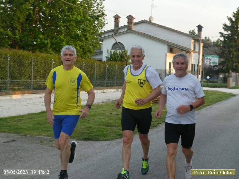 Cotignola: Camminata in mezzo al verde - 08 maggio 2023