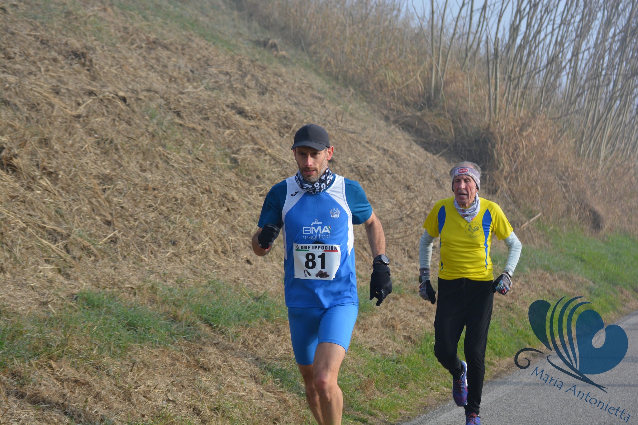 Rossetta: Ippociok - 04 febbraio 2024