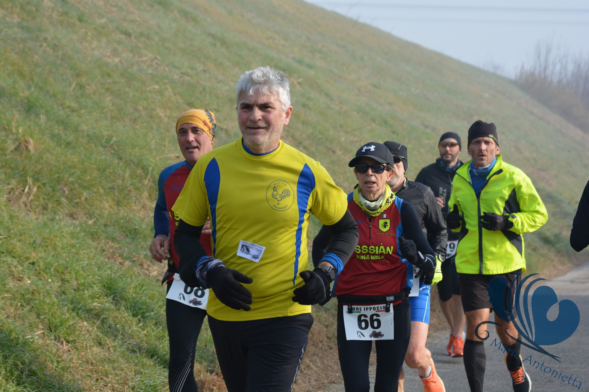 Rossetta: Ippociok - 04 febbraio 2024