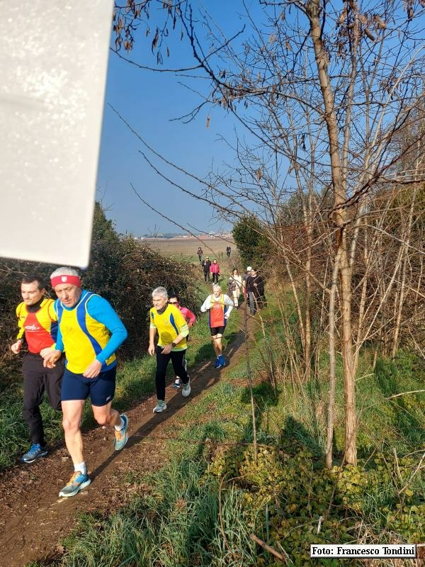 Ravenna: Passeggiata verso il mare d'inverno - 18 febbraio 2024