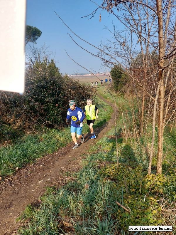 Ravenna: Passeggiata verso il mare d'inverno - 18 febbraio 2024