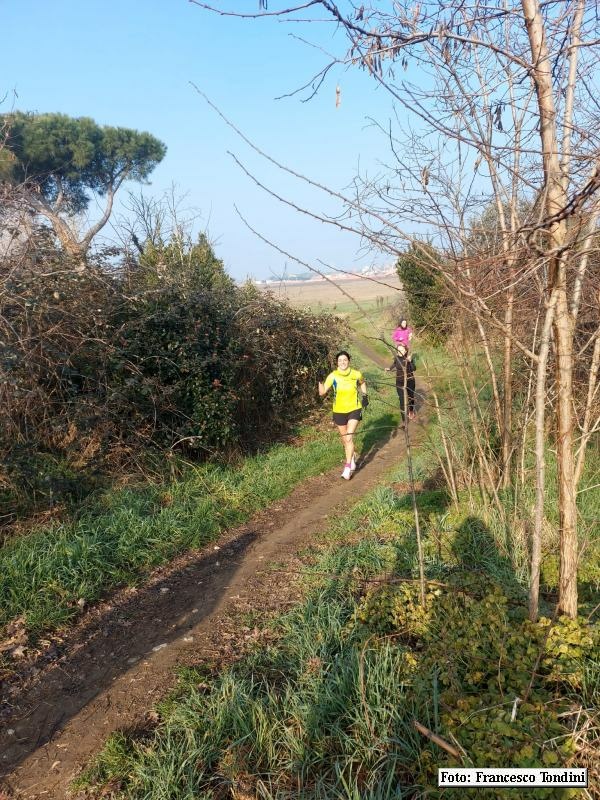 Ravenna: Passeggiata verso il mare d'inverno - 18 febbraio 2024