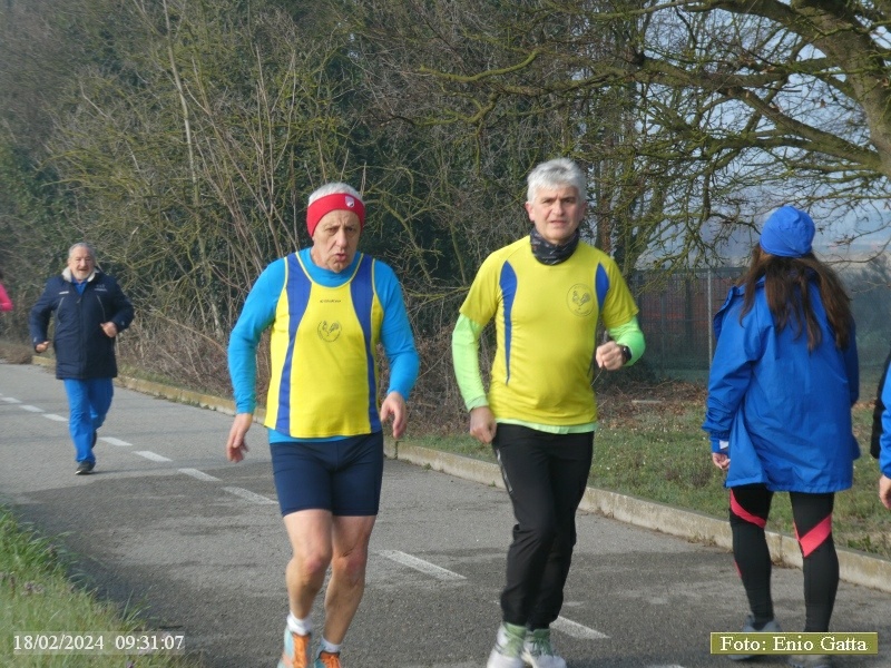 Ravenna: Passeggiata verso il mare d'inverno - 18 febbraio 2024