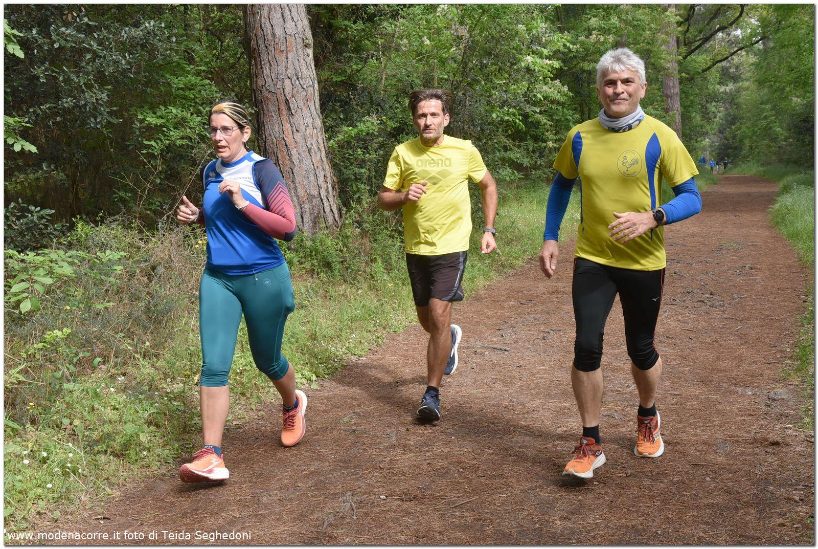 Marina di Ravenna: Parco Marittimo Walk and Run - 28 aprile 2024