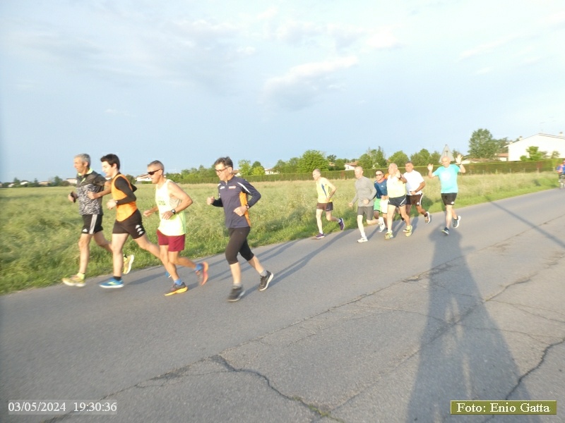 Alfonsine: Camminata San Carlo - 03 maggio 2024