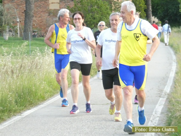 Cotignola: Camminata in mezzo al verde - 06 maggio 2024