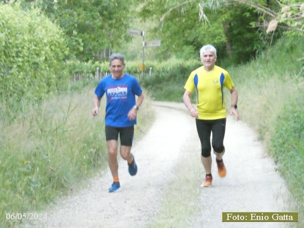 Cotignola: Camminata in mezzo al verde - 06 maggio 2024