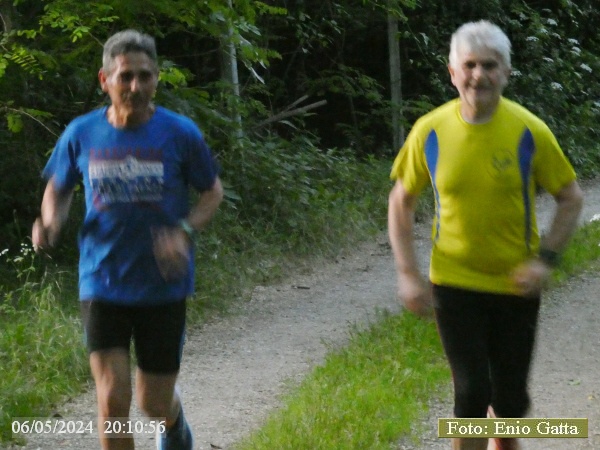 Cotignola: Camminata in mezzo al verde - 06 maggio 2024