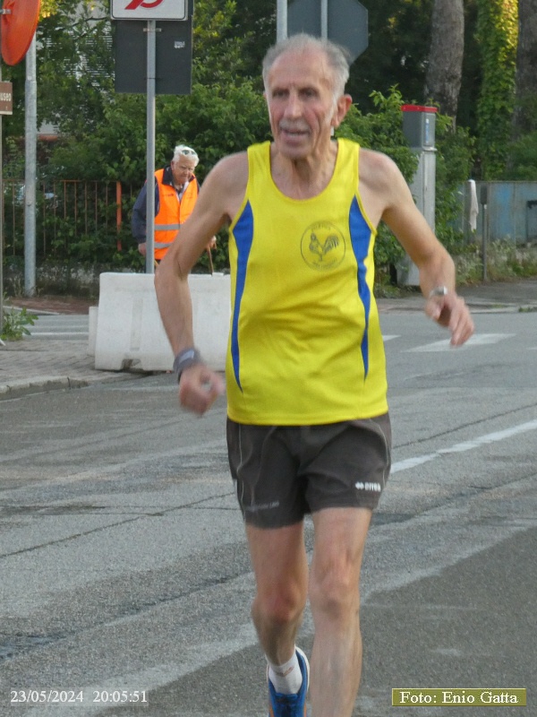 Alfonsine: Sagra delle Alfonsine - 23 maggio 2024