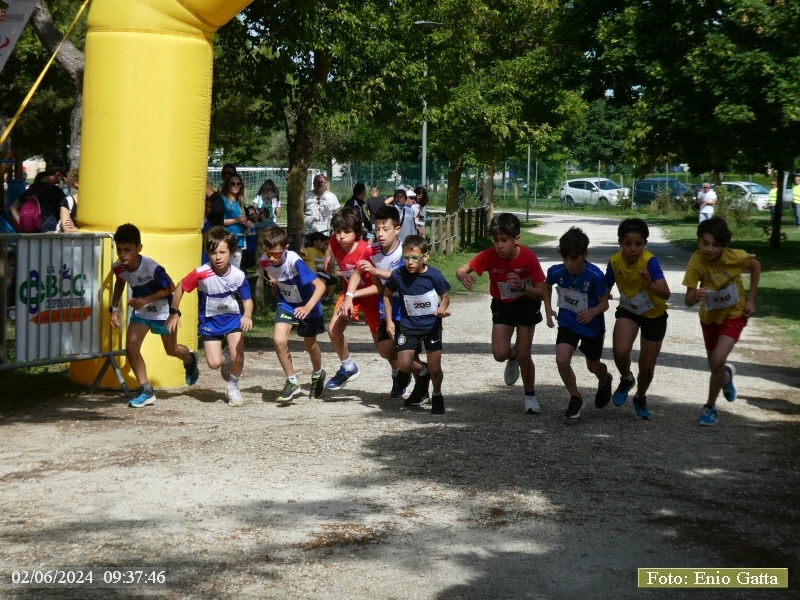 Ponte Nuovo: Stra Ravenna - 02 giugno 2024