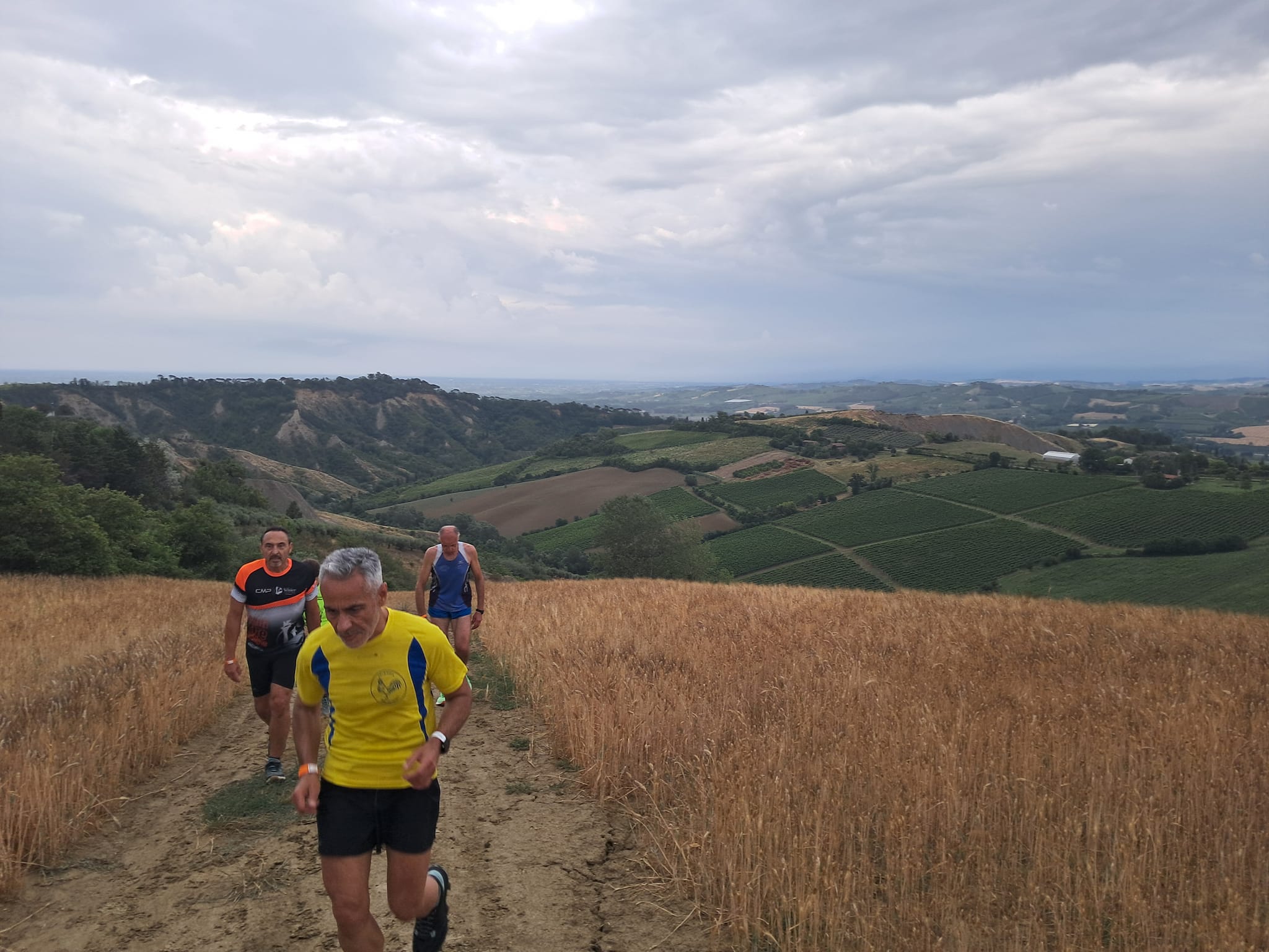 Castel Raniero: Dall'Olmatello ai Calanchi - 25 giugno 2024