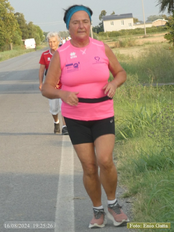 Voltana: La camminata dell'Arginino - 16 agosto 2024